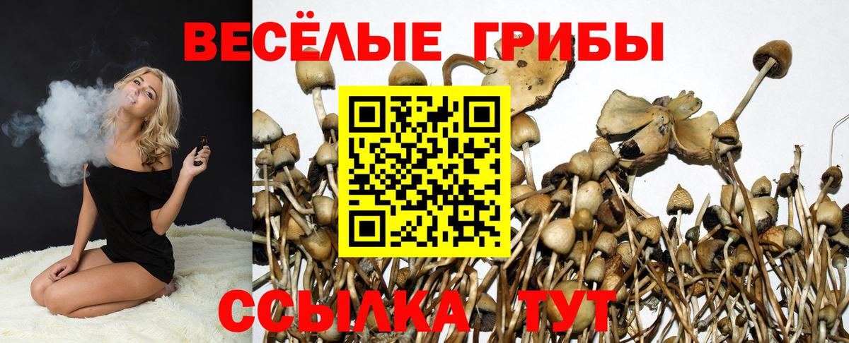 Псилоцибиновые грибы MAGIC MUSHROOMS  закладка  Галлюциногенные грибы прущие грибы  Лесозаводск  Вход с VPN 
